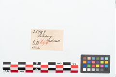 Etikett zu Bronzebogenfibel (NHMW-PRAE-025797)